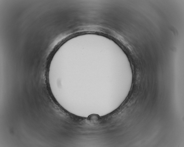 X0000111431312200908101108