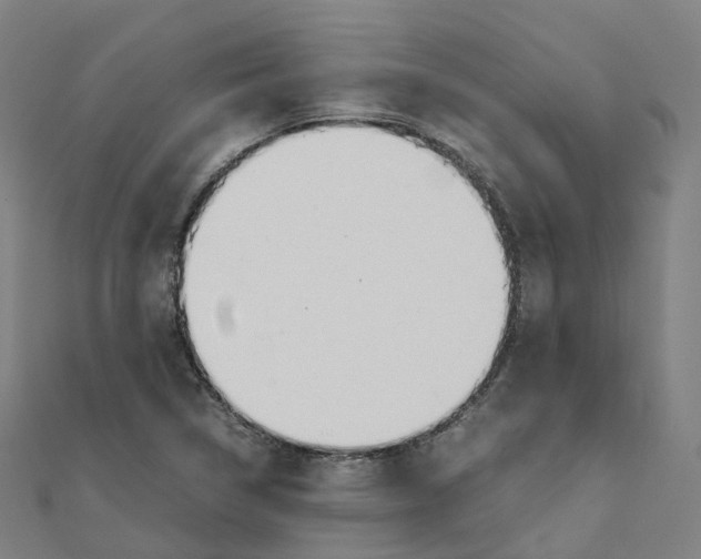 X0000111431314200908101108