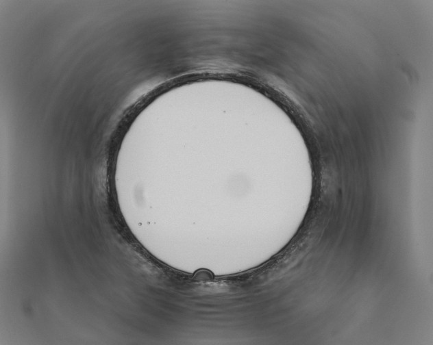 X0000111431315200908101108