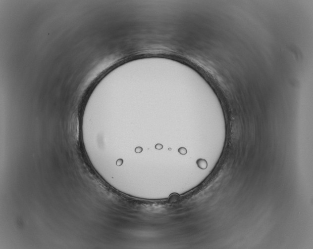 X0000111431317200908101108