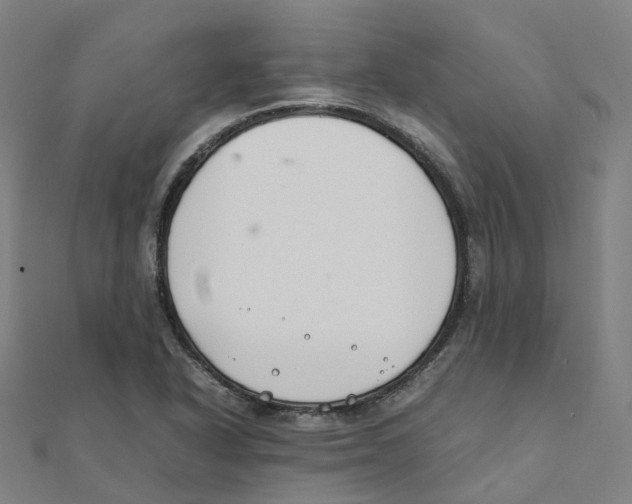 X0000111431318200908101108
