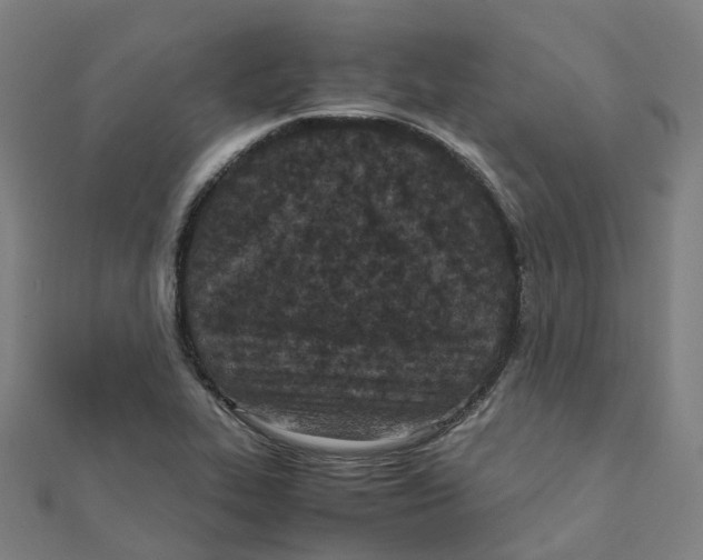 X0000111431319200908101108