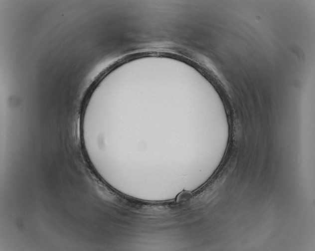 X0000111431320200908101108
