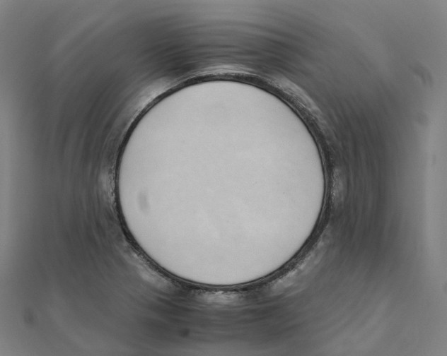 X0000111431321200908101108