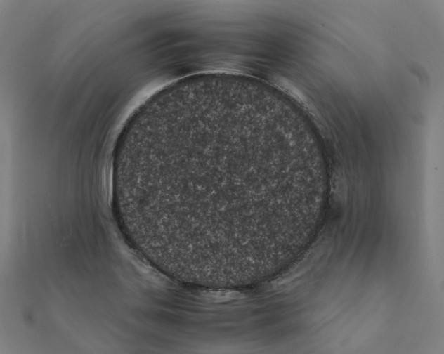 X0000111431323200908101108