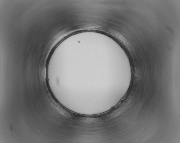 X0000111431324200908101108