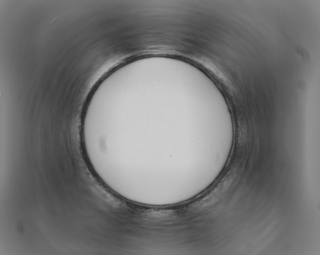 X0000111431325200908101108