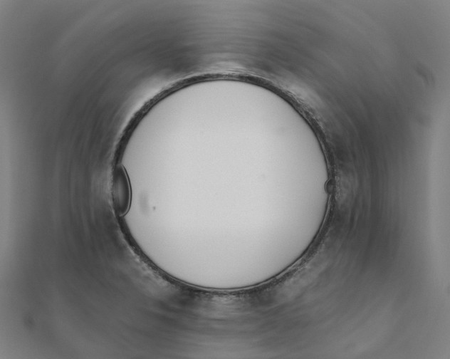 X0000111431326200908101108