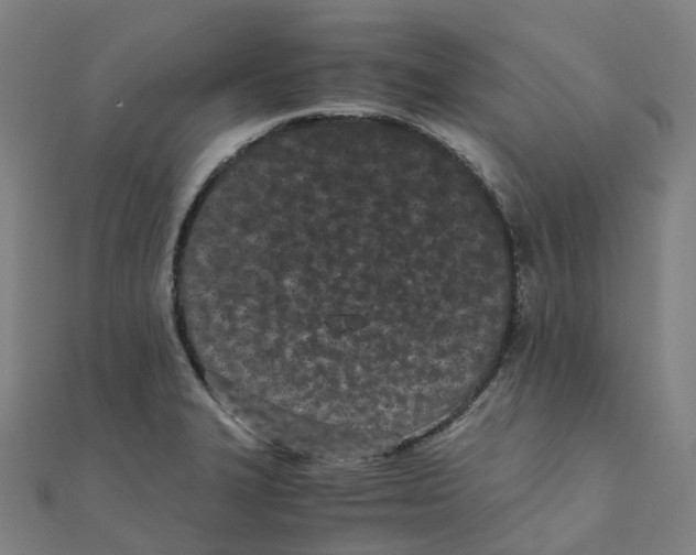 X0000111431327200908101108