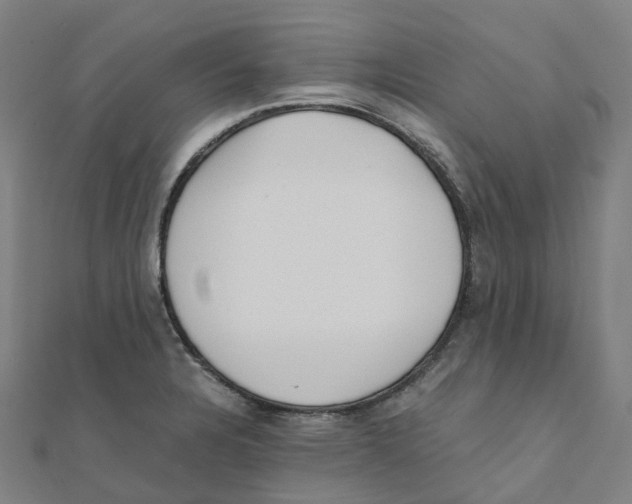 X0000111431328200908101108