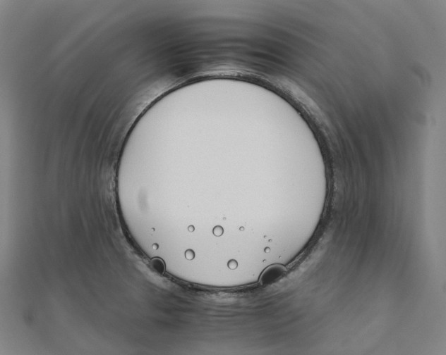X0000111431329200908101108