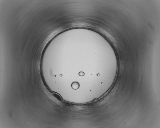 X0000111431330200908101108