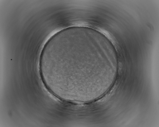 X0000111431331200908101108