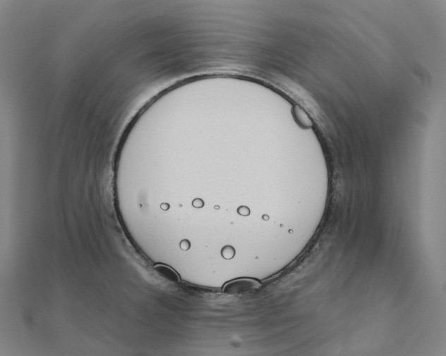 X0000111431332200908101108