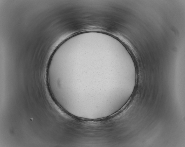 X0000111431333200908101108