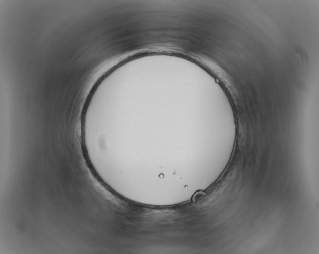 X0000111431335200908101108