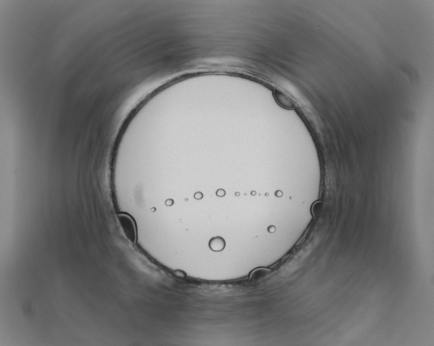 X0000111431336200908101108