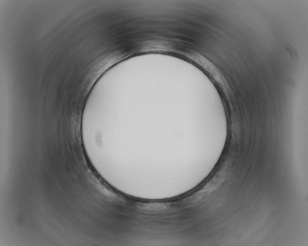 X0000111431337200908101108
