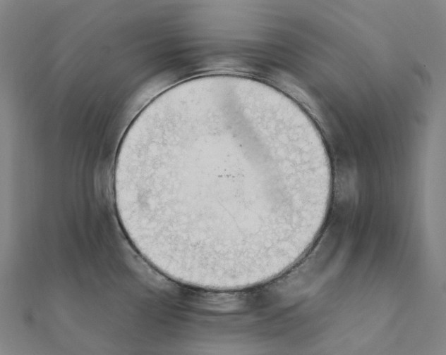 X0000111431338200908101108