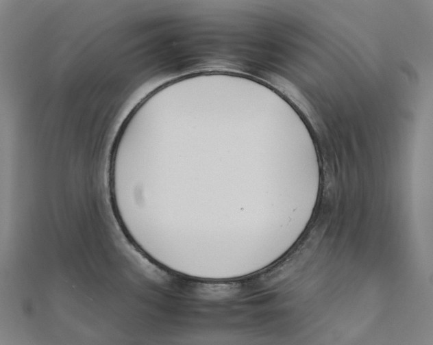 X0000111431339200908101108