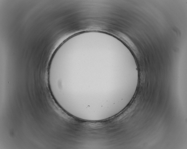 X0000111431340200908101108