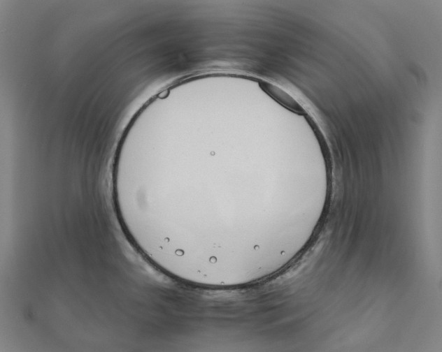 X0000111431341200908101108