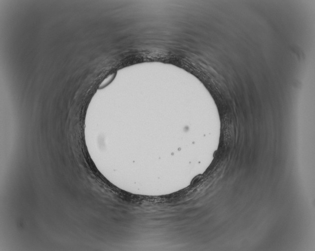 X0000111431345200908101108
