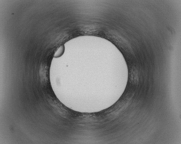 X0000111431346200908101108
