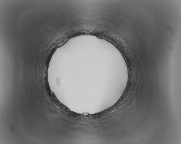 X0000111431349200908101108