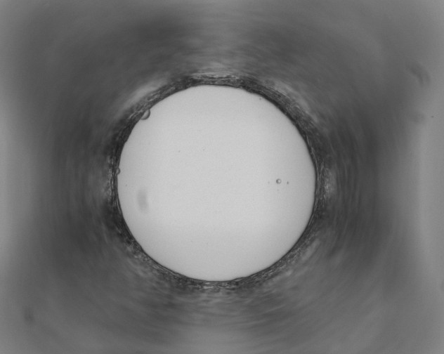 X0000111431350200908101108