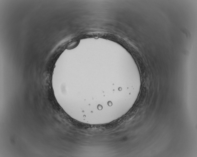 X0000111431351200908101108