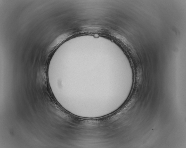 X0000111431354200908101107