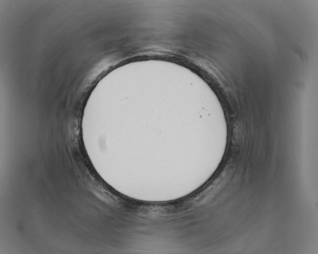 X0000111431355200908101107