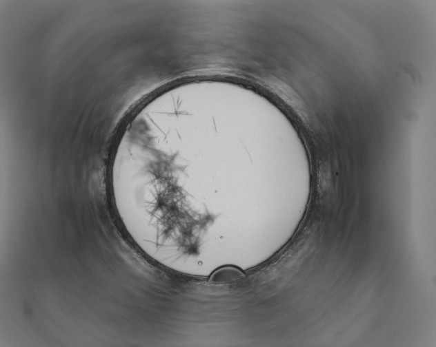 X0000111431356200908101107