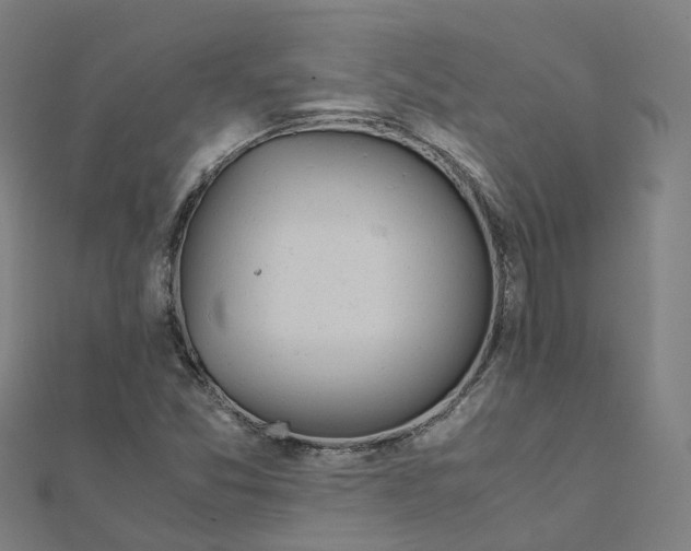 X0000111431357200908101107