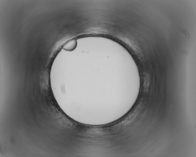 X0000111431358200908101107