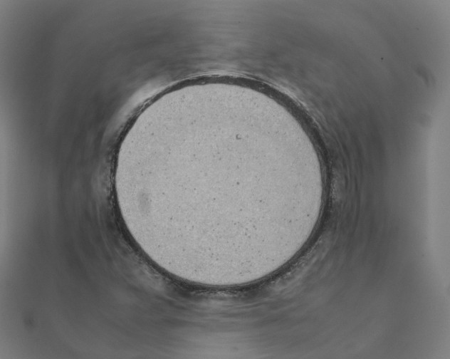 X0000111431359200908101107