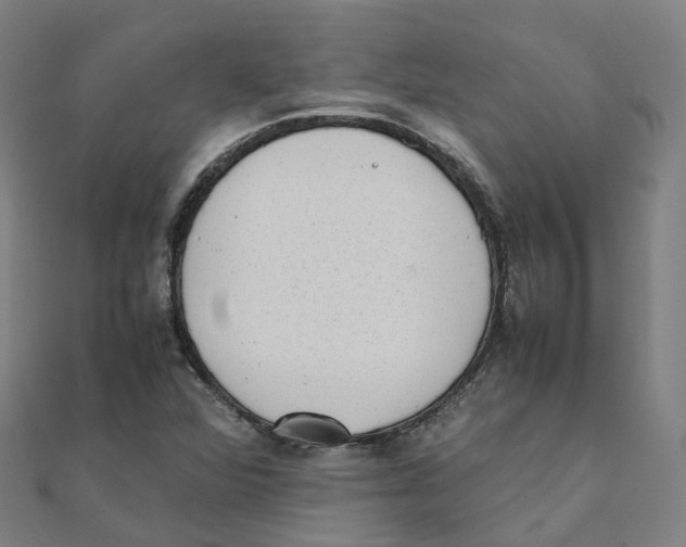 X0000111431360200908101107