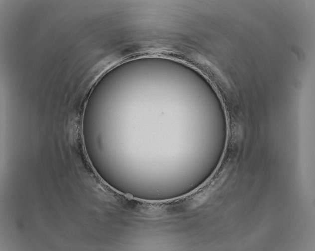 X0000111431361200908101107