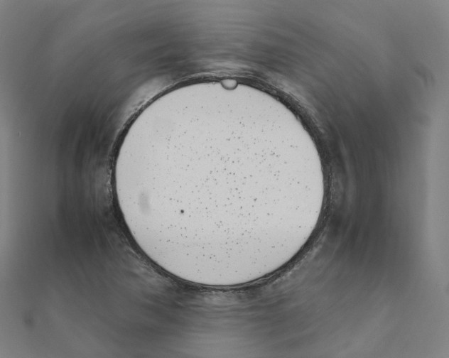 X0000111431362200908101107
