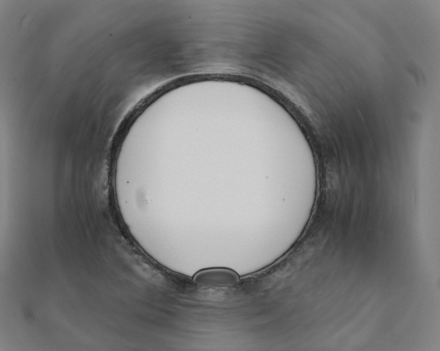 X0000111431364200908101107