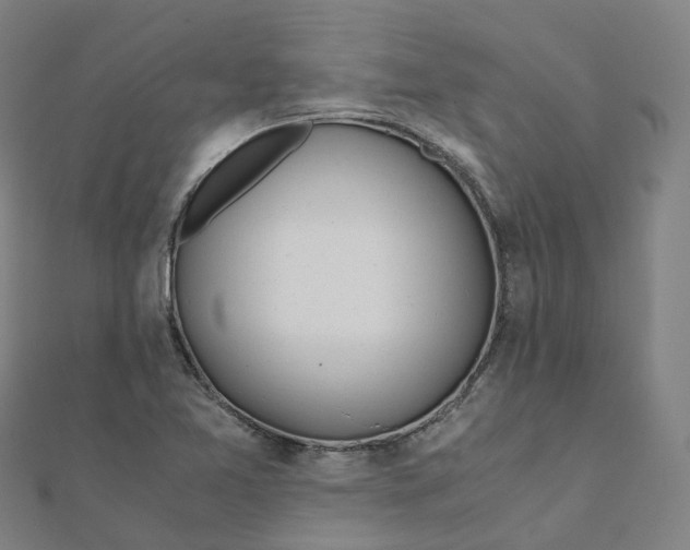 X0000111431365200908101107