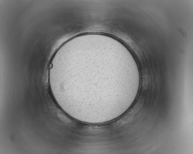 X0000111431366200908101107