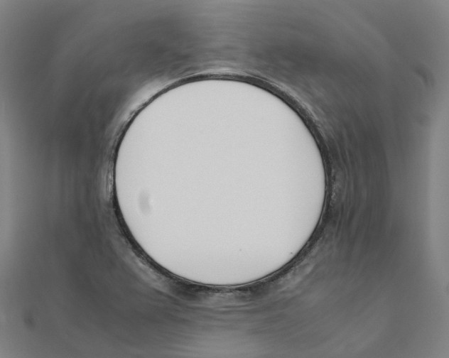 X0000111431367200908101107