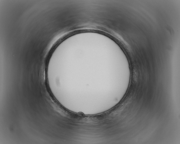 X0000111431368200908101107