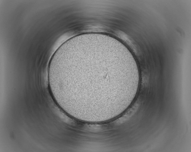 X0000111431370200908101107