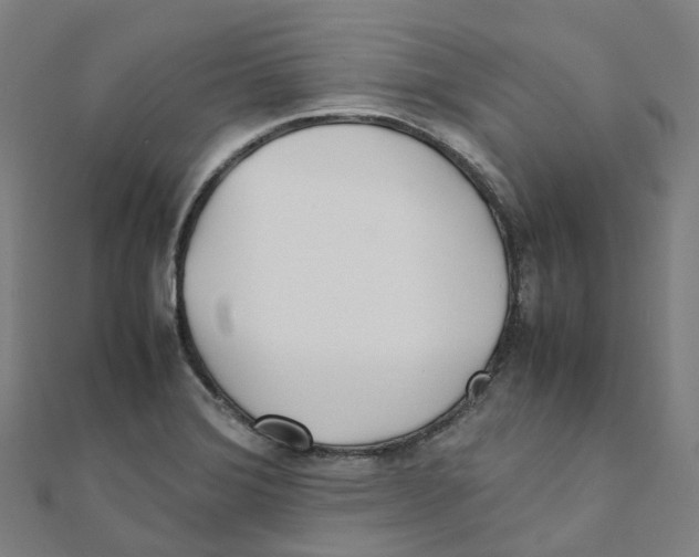 X0000111431372200908101107