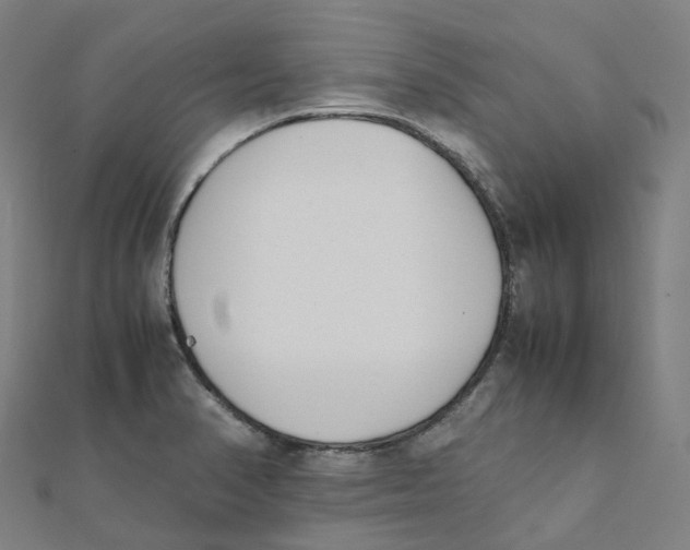 X0000111431374200908101107