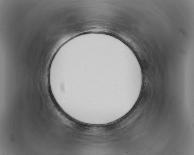 X0000111431375200908101107