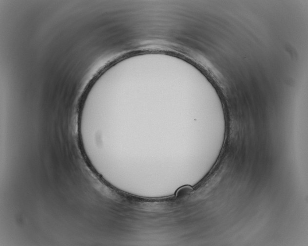 X0000111431376200908101107